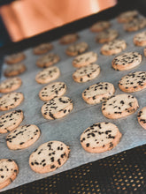 Lade das Bild in den Galerie-Viewer, Waldstadt Grüße ,,Heidesand Stracciatella"